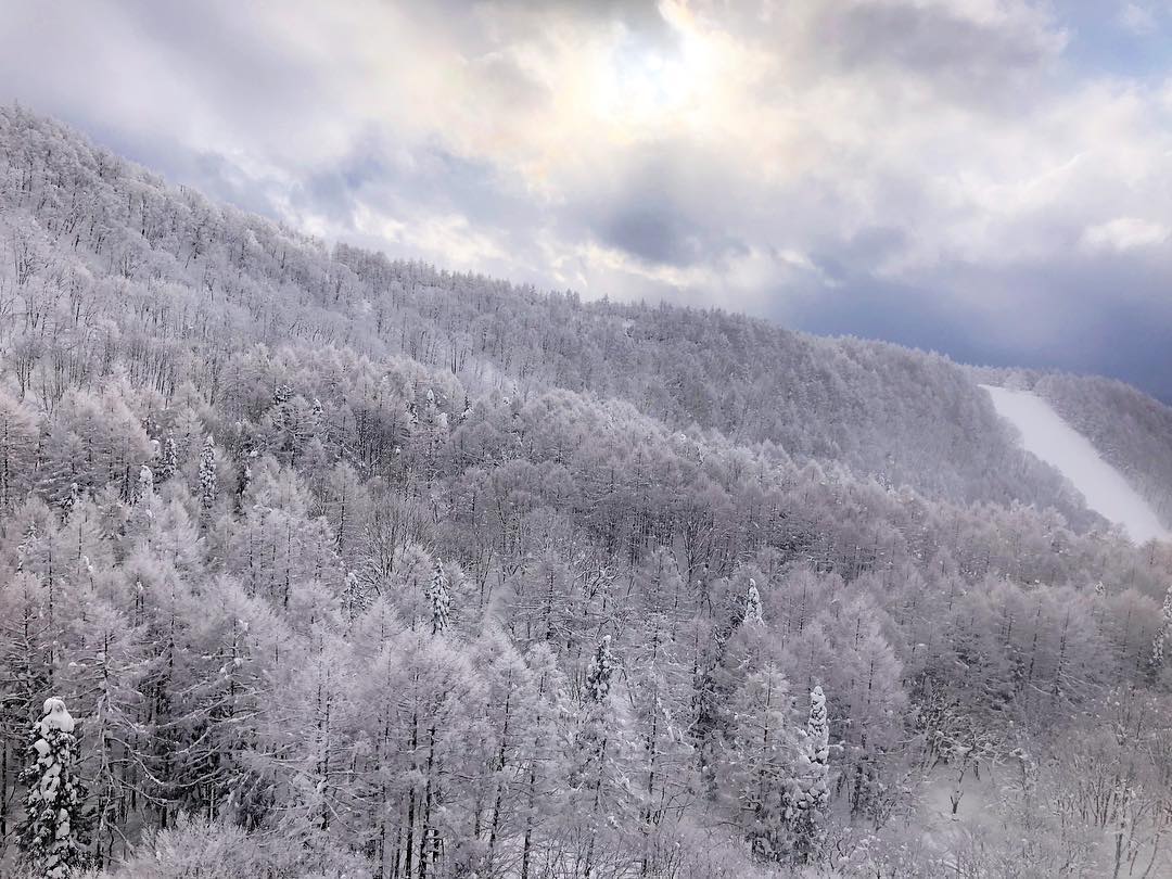 有末麻祐子 蔵王では樹氷が見たくて ロープウェイに乗りました 今回は雪が見たかったのと 蔵王の樹氷を見て 温泉がある宿でゆっくりする というのが旅の目的でした 生憎の天気で Wacoca Japan People Life Style