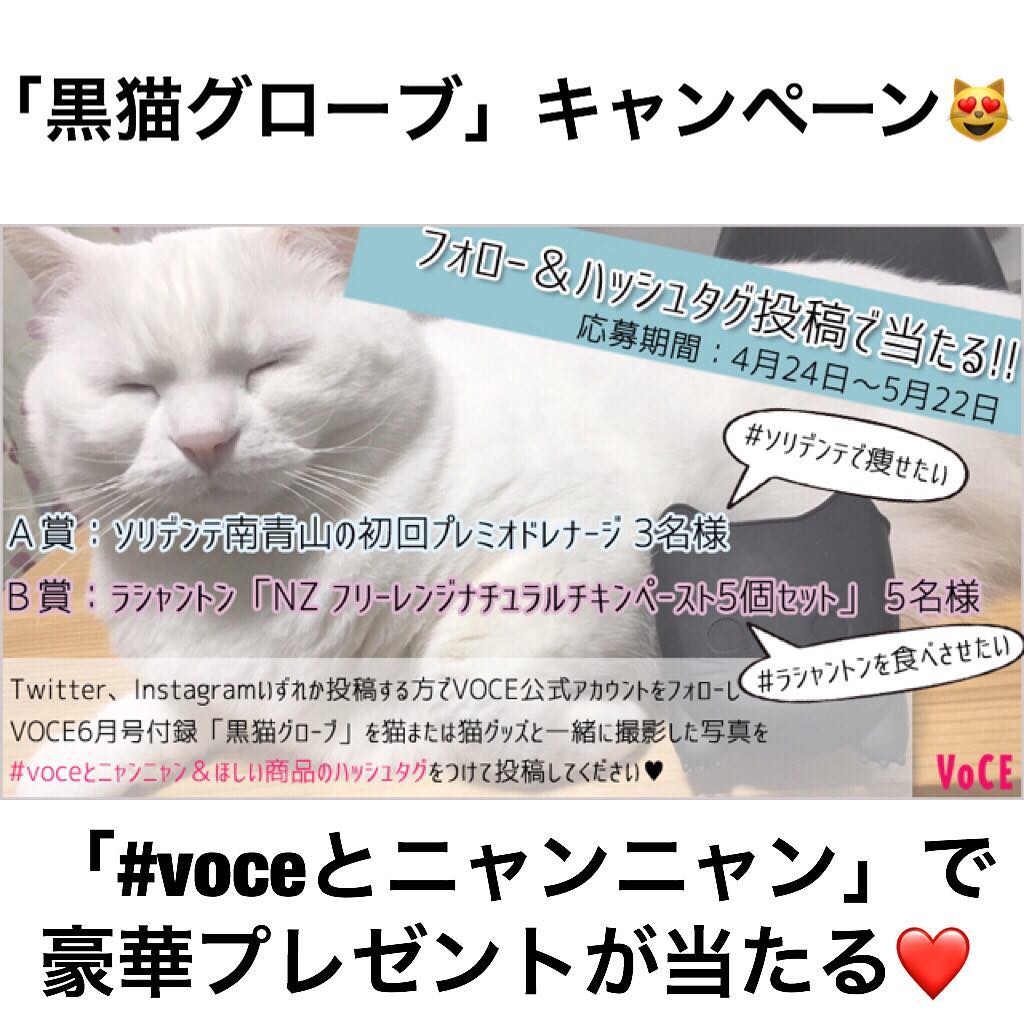 Voce 猫好き集まれ 黒猫キャンペーン始動 Voceとニャンニャン でプレゼント当たります Voce6月号 通常版 の付録 黒猫グローブ はもうゲットさ Wacoca Japan People Life Style