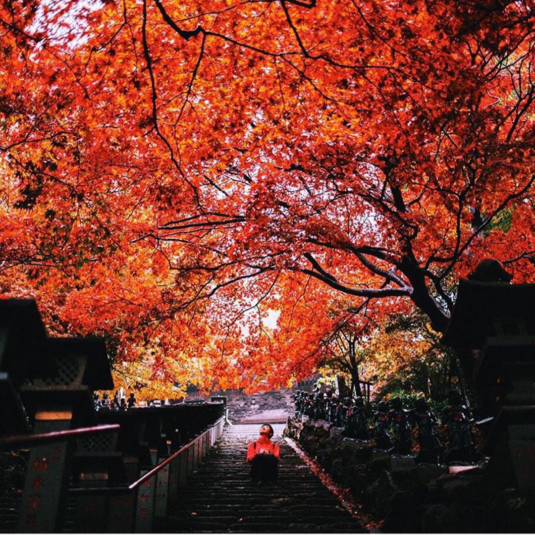 Retrip News Retrip 大山寺 大山寺は神奈川県伊勢原市にあるお寺 紅葉スポットとして有名です 紅葉 はちょうど今 見頃を迎えていて 日没からのライトアップもおすすめで Wacoca Japan People Life Style