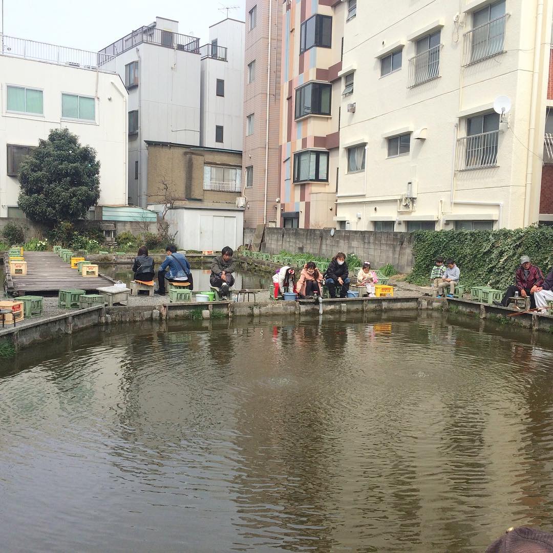 Popeyemagazine 東京26エリアより 中央線の阿佐ヶ谷 駅の近く 住宅街のど真ん中に釣り堀があるなんて知らなかった 子供からおじいちゃんまで皆が楽しそうだった 寿々木園 は金魚 Wacoca Japan People Life Style