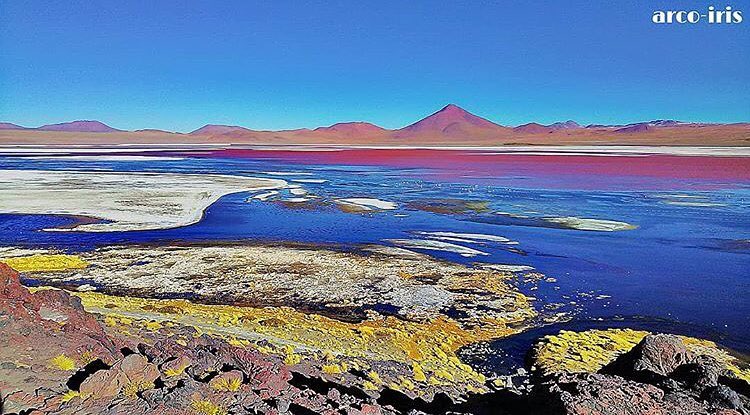 Retrip Global Retrip ラグナ コロラダ ボリビアにある ラグナ コロラダ をご存知ですか 赤い湖がとても神秘的な観光スポットなんです フラミンゴの大群を見られるとい Wacoca Japan People Life Style