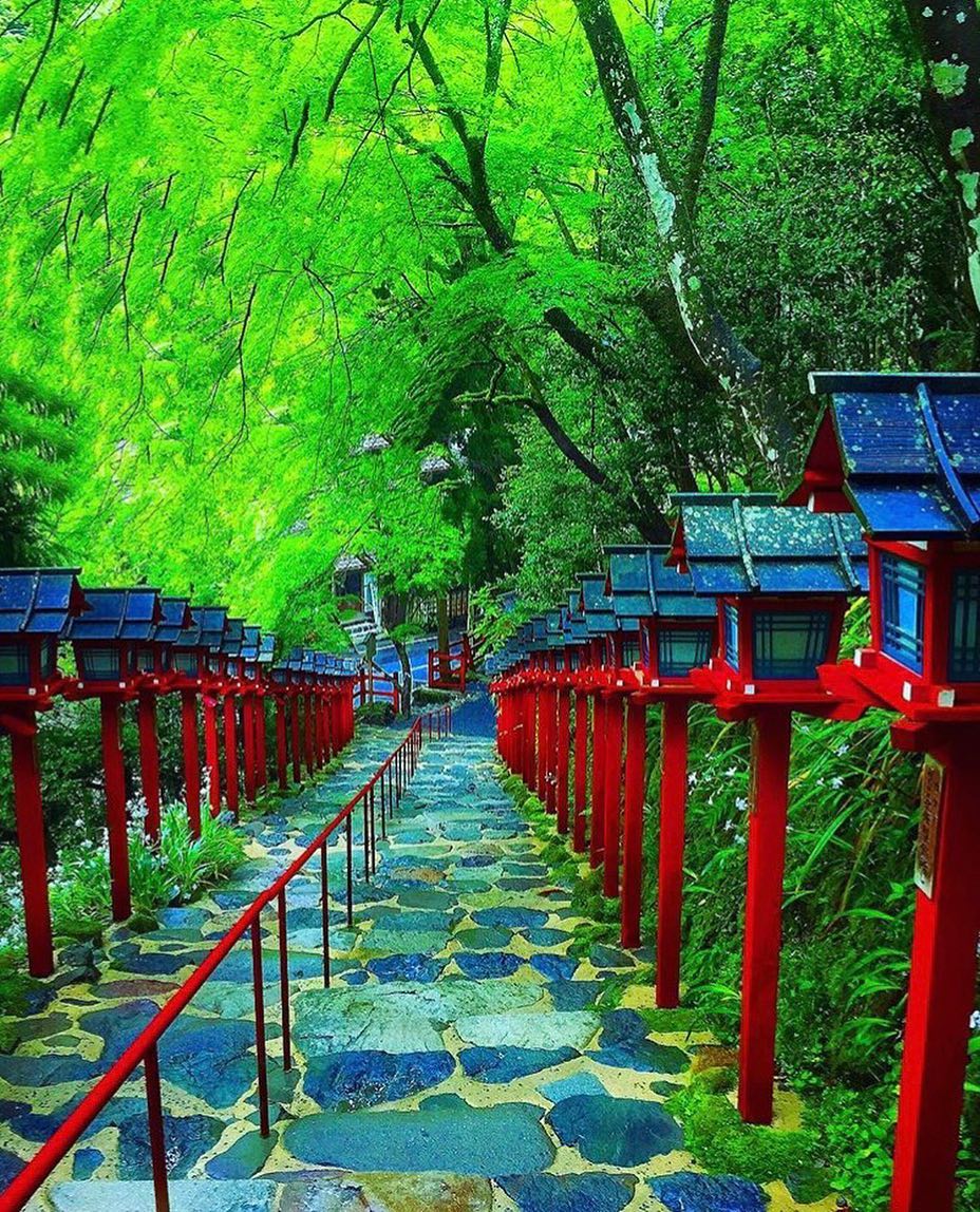 Retrip Nippon Retrip 京都 新緑が美しい夏がやって来ましたね 京都の貴船神社では 四季折々の絶景を楽しむことができますが特に美しいのがこの季節 赤と緑のコントラスト Wacoca Japan People Life Style