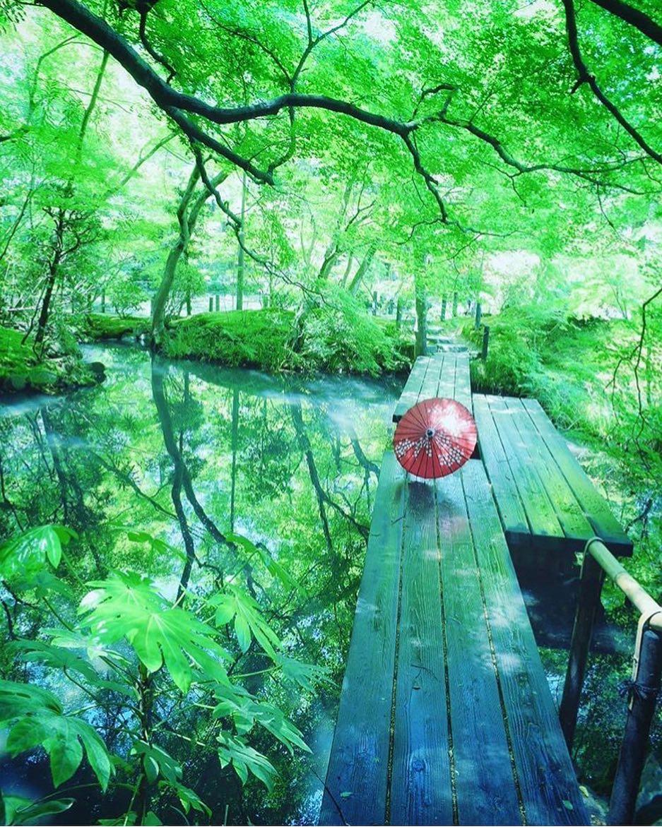 Retrip Nippon Retrip 京都 こちらは 京都府にある南禅寺です 一面が緑に染まるこの景色は 夏でも清涼を感じることができ 心を 癒してくれます 木々が水面に映る様も Wacoca Japan People Life Style