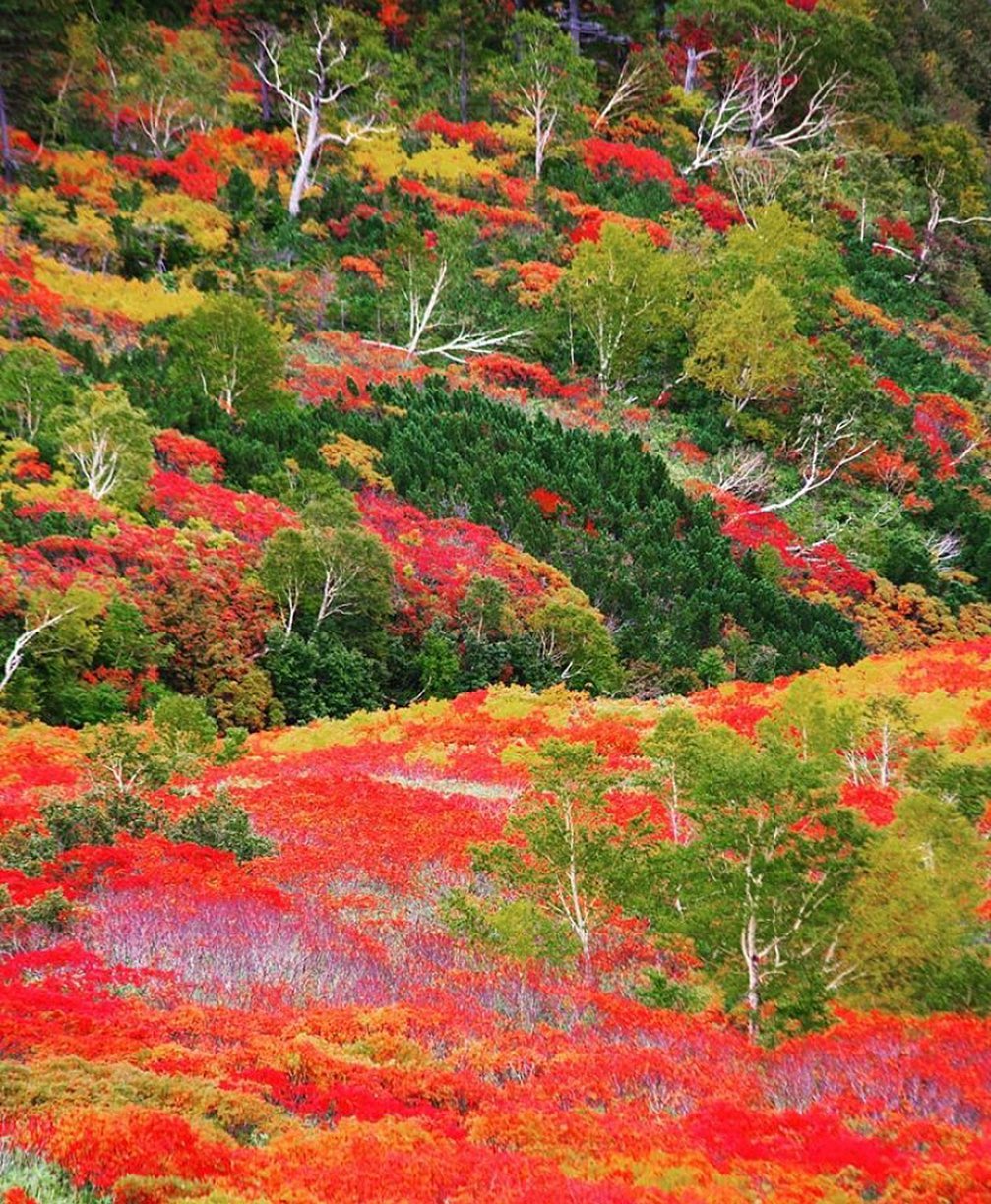 Retrip News Retrip 北海道 今回ご紹介するのは 日本で一番早く紅葉が見られるということで有名な北海道にある 銀泉台 紅葉の見頃 は9月中旬 下旬 こちらは冬 春に Wacoca Japan People Life Style