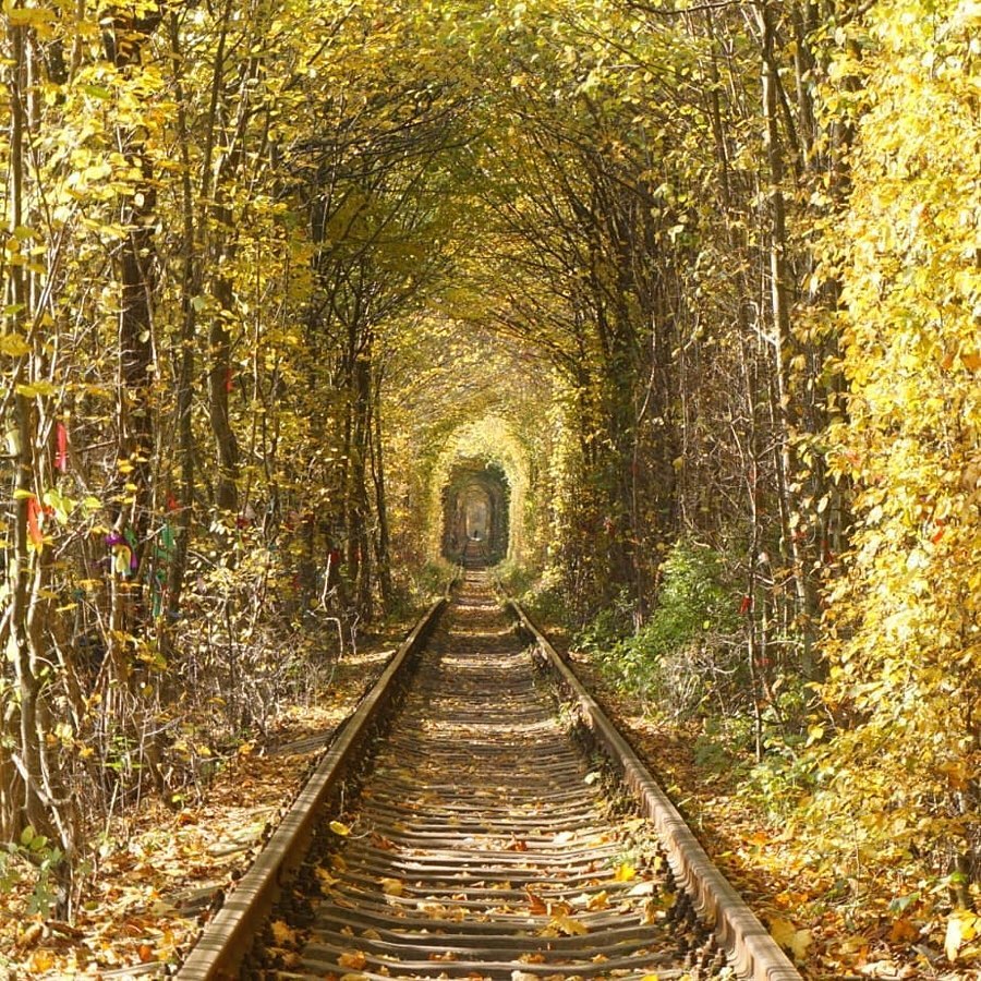 Retrip Global Retrip ウクライナ ウクライナにある 愛のトンネル の紅葉が終わりかけています 日本より寒いウクライナ では一足早く紅葉を迎えました 夏は緑のトンネルも Wacoca Japan People Life Style