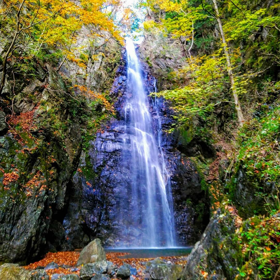 Travelko ここも東京都 渓谷の奥にある美しい滝 東京 奥多摩 にある 百尋ノ滝 ひゃくひろのたき 落差40mほどのこの滝 とても繊細な美しさをもっている Wacoca Japan People Life Style