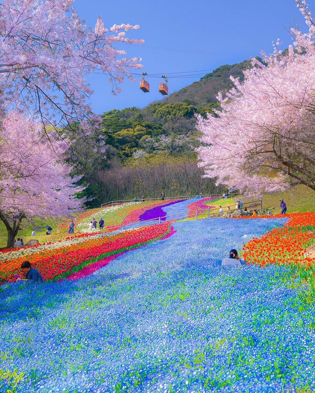 Retrip News Retrip 山口 山口県下関市の 火の山公園 は桜やチューリップの名所です 春は同時期にさまざまな品種の花が咲き乱れるため 園内には彩り豊かな風景が広がっ Wacoca Japan People Life Style