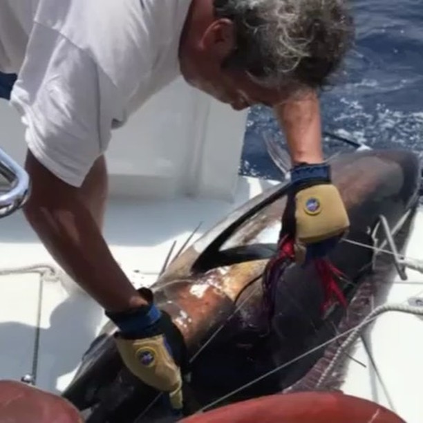 高嶋ちさ子 初めてカジキマグロ釣りに行ったのに 長男と父親2人とも釣ってしまいました しかも長男の友人も100キロ越えのカジキマグロともう1人はキハダマグロ 大漁です Wacoca Japan People Life Style