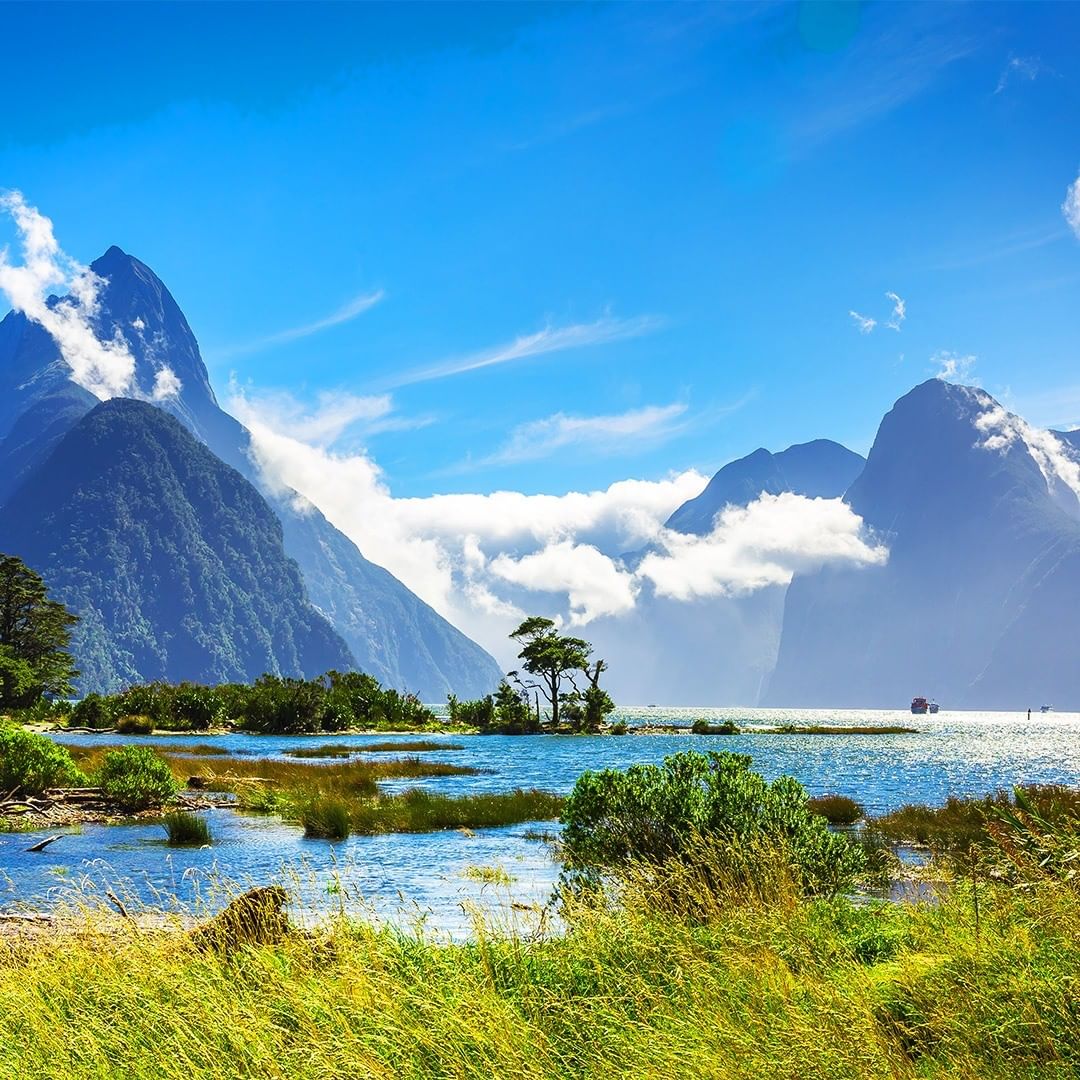 Hisjapan 海外のhisより 世界各国のイマを発信しています 本日はその中で 自然豊かで芸術溢れるニュージーランドのアカウントをご紹介 ニュージーランドは南半球に位置し Wacoca