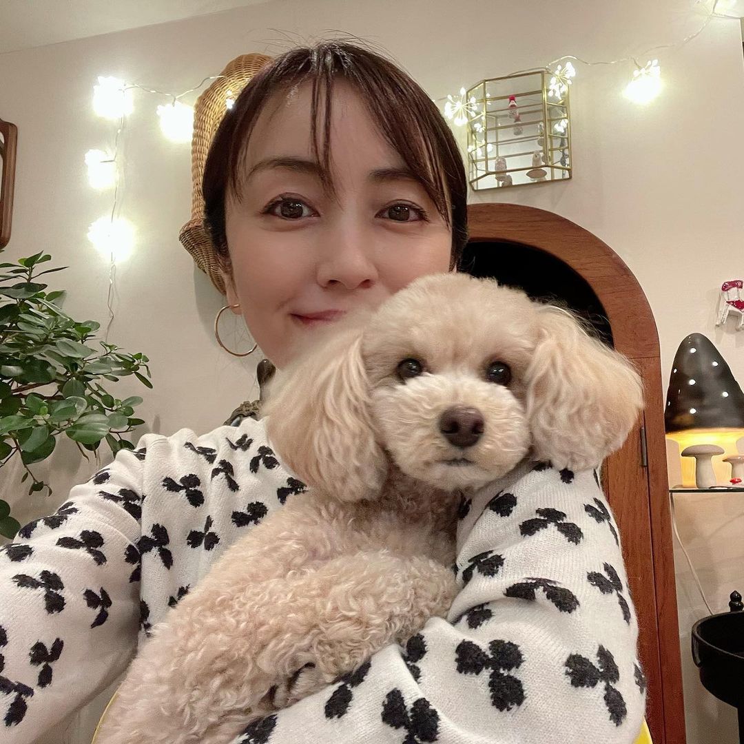矢田亜希子 髪型を変えたきなこです トイプードル Toypoodle 姉妹犬 ブログ更新できず Wacoca Japan People Life Style