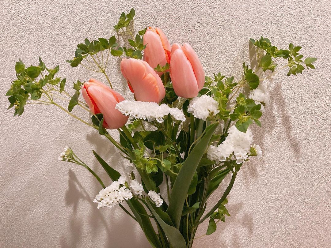 永島聖羅 最近のお花は チューリップ とっても可愛い 早くお花 開いてほしいな 花のある暮らし 良いです ピンク チューリップの花言 Wacoca Japan People Life Style